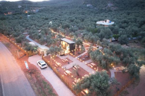Vamos Camping